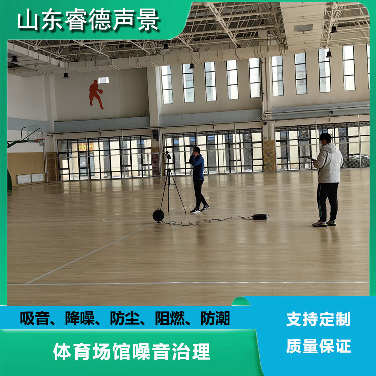 别让噪音毁了体育激情!场馆降噪秘籍在此